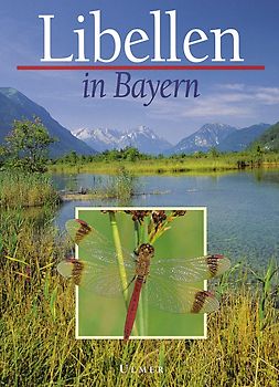 Libellen in Bayern