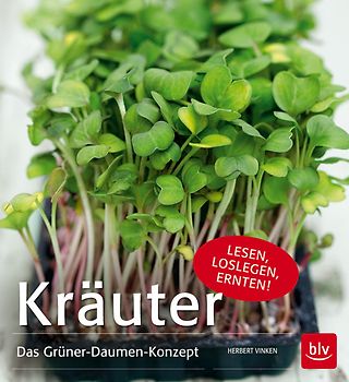 Kräuter