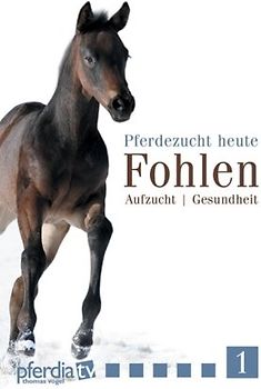 Pferdezucht heute - Fohlen DVD
