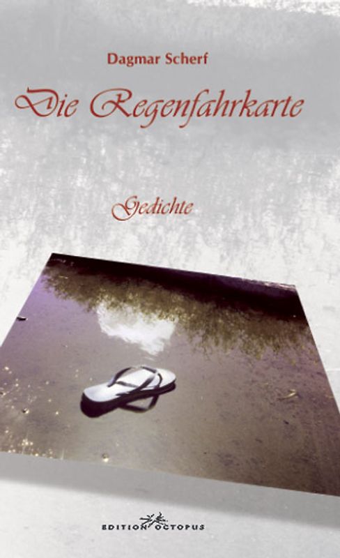 Die Regenfahrkarte