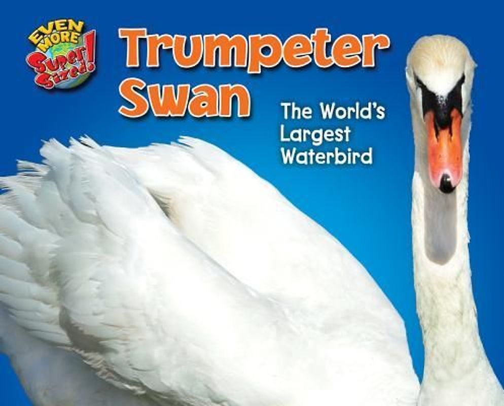 Trumpeter Swan
