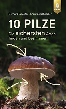 10 Pilze