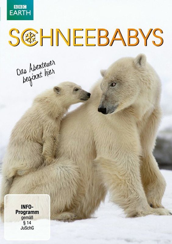 Snow Babies DVD