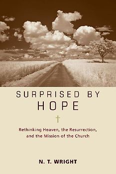 Surprised by Hope Participant's Guide