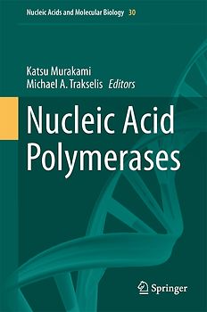 Nucleic Acid Polymerases