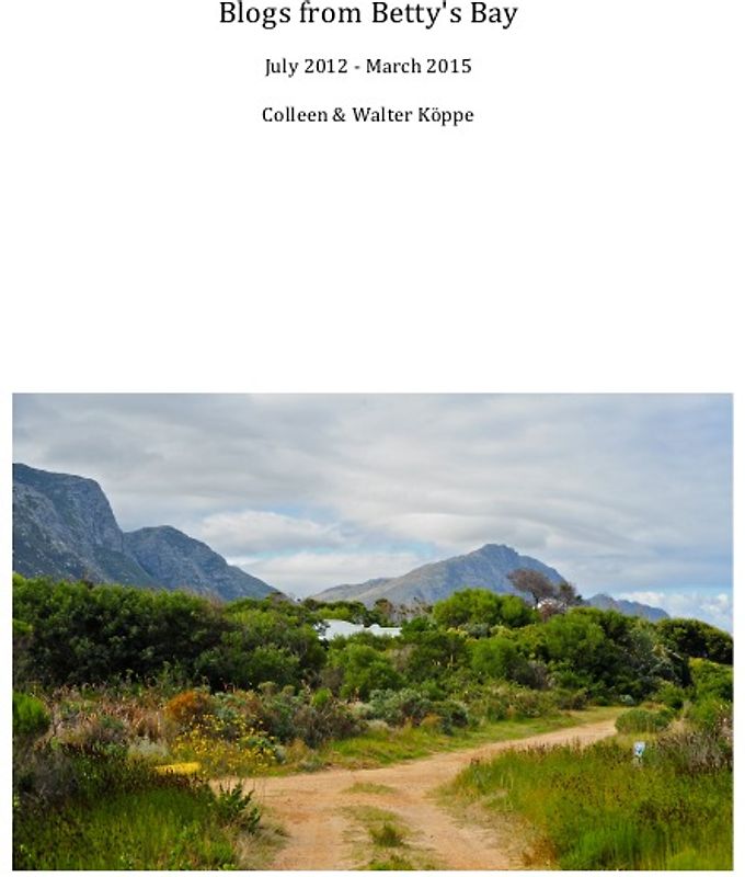 Blogs from Betty's Bay