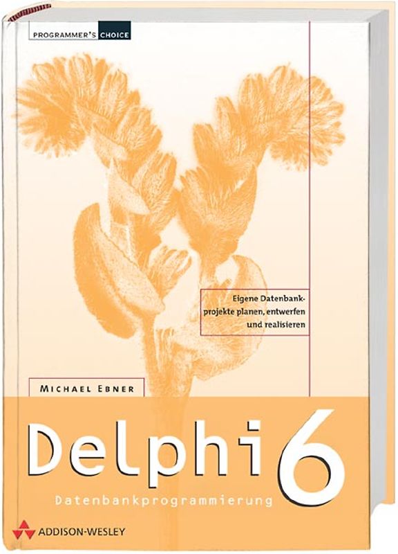 Delphi 6 Datenbankprogrammierung