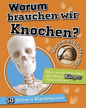 Warum brauchen wir Knochen?