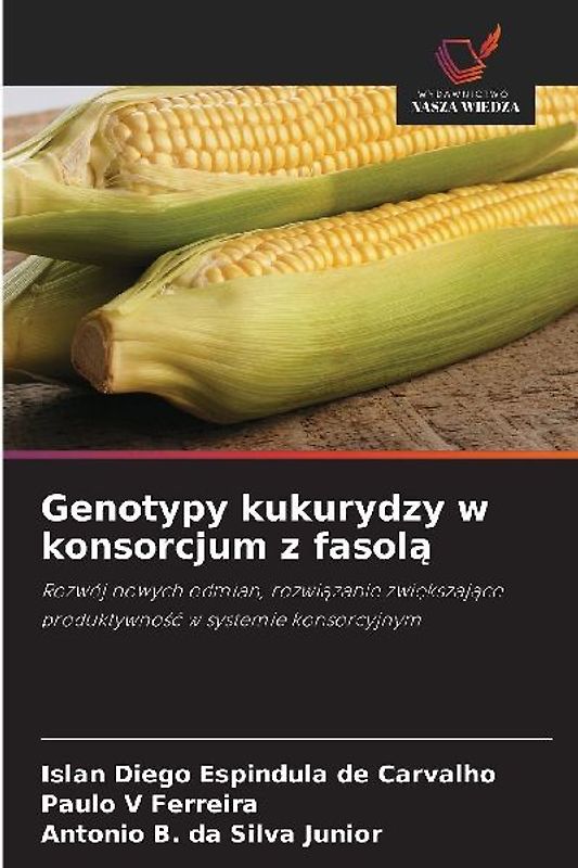 Genotypy kukurydzy w konsorcjum z fasol¿