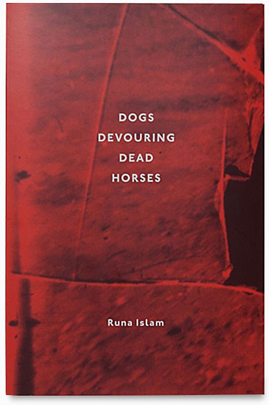 Runa Islam: Dogs Devouring Dead Horses