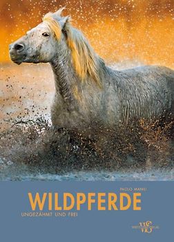 Wildpferde