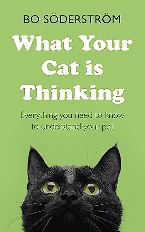 What Your Cat Is Thinking: Everything you need to know to understand your pet