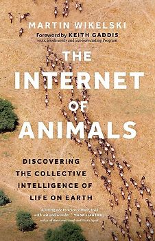 The Internet of Animals