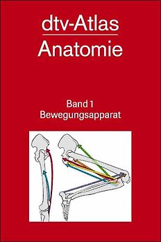 dtv-Atlas Anatomie / Bewegungsapparat