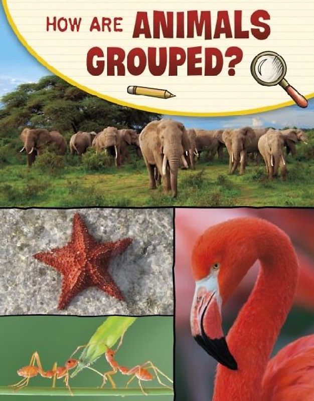 How Are Animals Grouped?