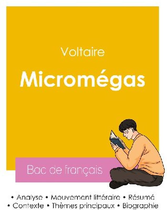 Réussir son Bac de français 2026 : Analyse de Micromégas de Voltaire