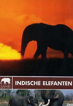 Safari: Indische Elefanten DVD