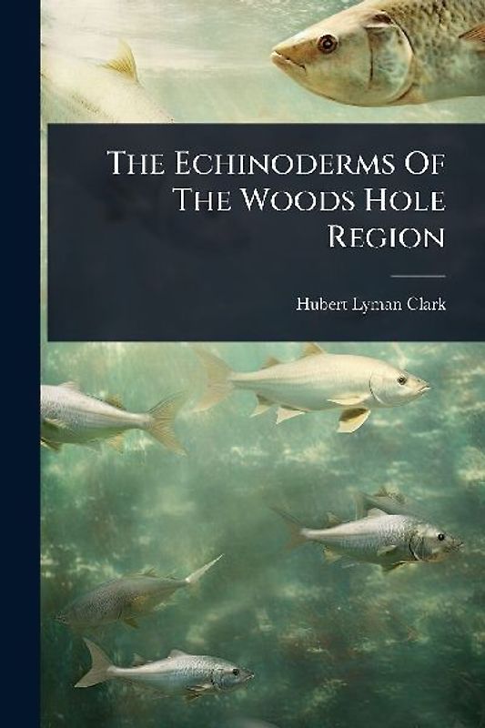 The Echinoderms Of The Woods Hole Region
