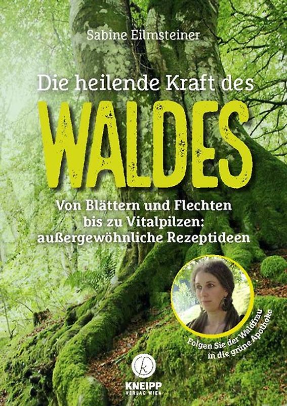 Die heilende Kraft des Waldes