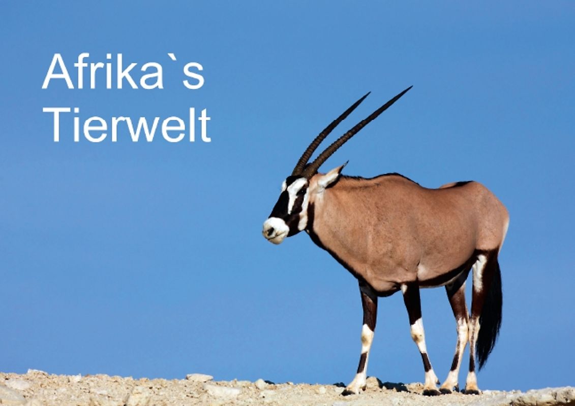 Afrika´s Tierwelt (Posterbuch DIN A3 quer)