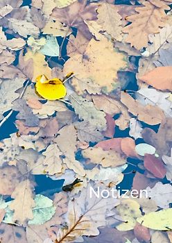 Notizen