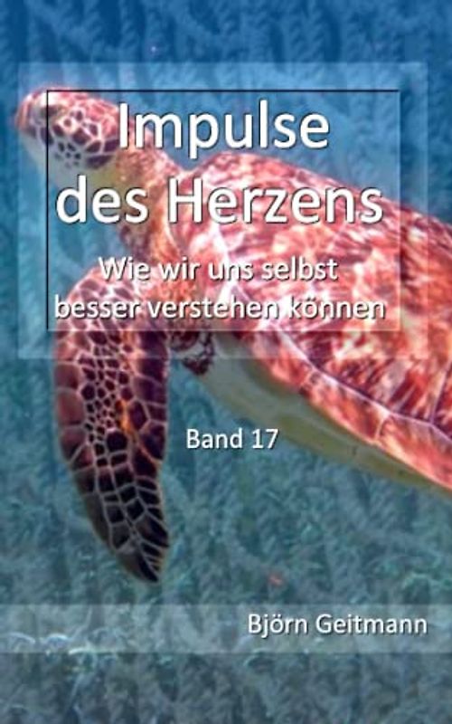 Impulse des Herzens: Wie wir uns selbst besser verstehen können (Band 17)