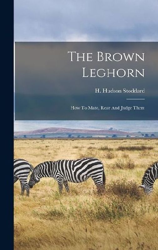 The Brown Leghorn