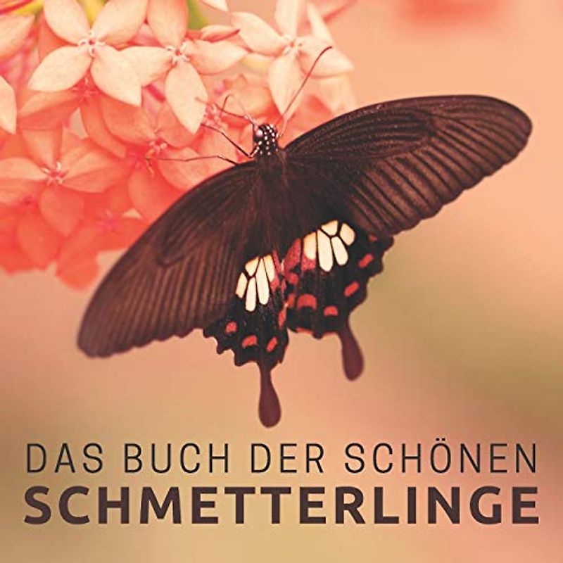 Das Buch der schönen Schmetterlinge: Bildband für Senioren und Demenzkranke (Bildbände und Aktivitäten für Senioren)