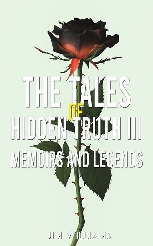 The Tales of Hidden Truth III