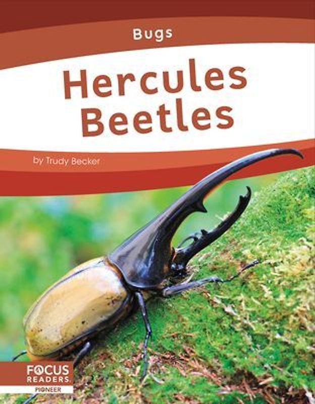 Hercules Beetles