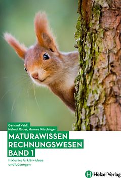 Maturawissen / Rechnungswesen Band 1