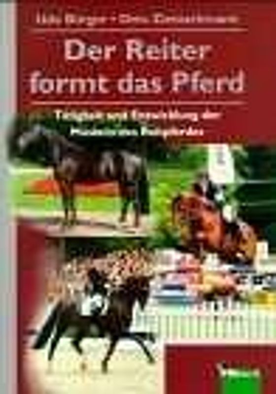 Der Reiter formt das Pferd