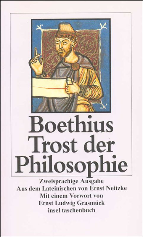 Trost der Philosophie