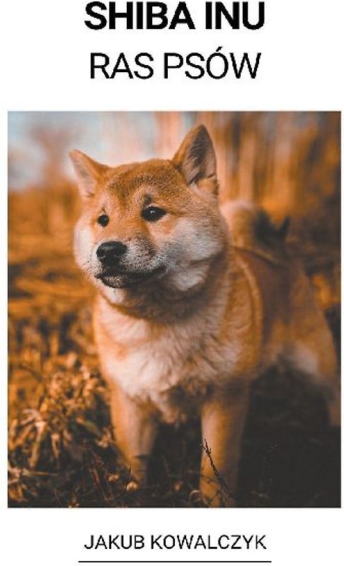 Shiba Inu (Ras Psów)