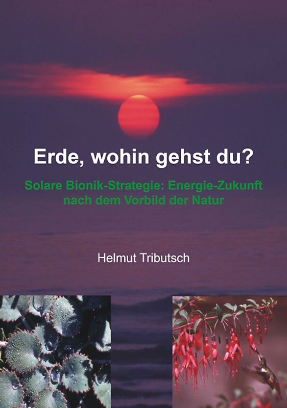 Erde, wohin gehst du?