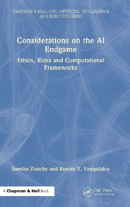 Considerations on the AI Endgame