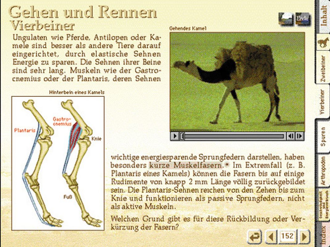 Sielmanns Abenteuer Natur - Tiere in Aktion MacOS