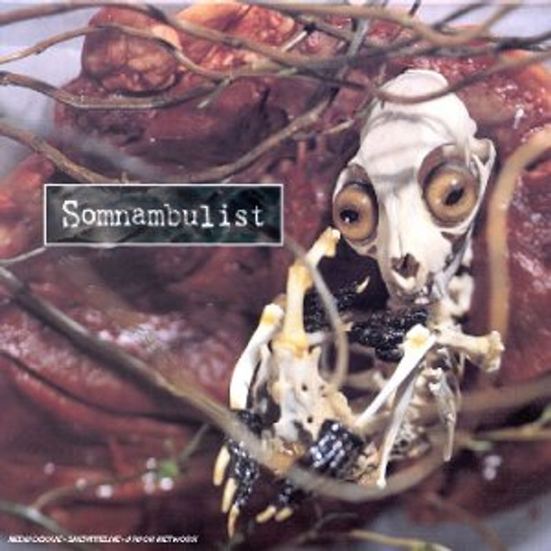 Somnambulist - Somnambulist