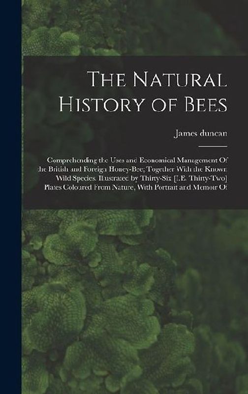The Natural History of Bees
