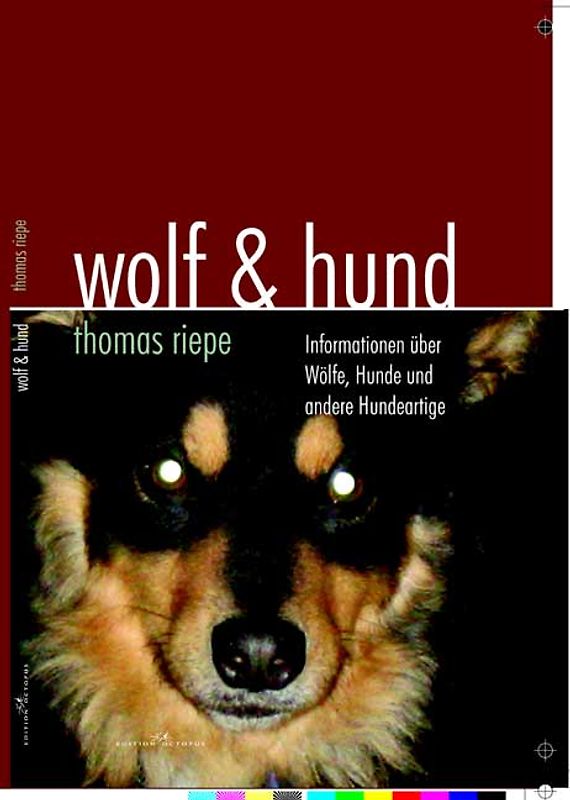 Wolf & Hund
