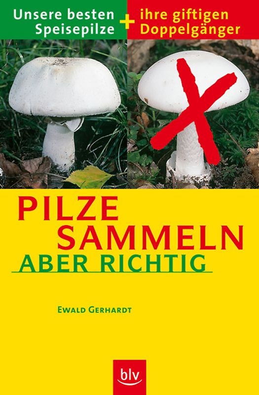 Pilze sammeln – aber richtig