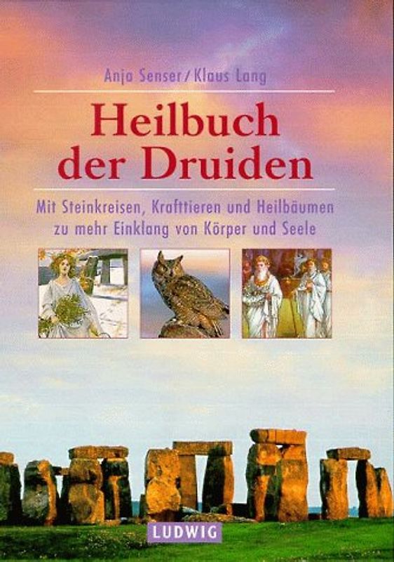 Druiden