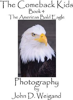 The Comeback Kids, Book 4, The American Bald Eagle