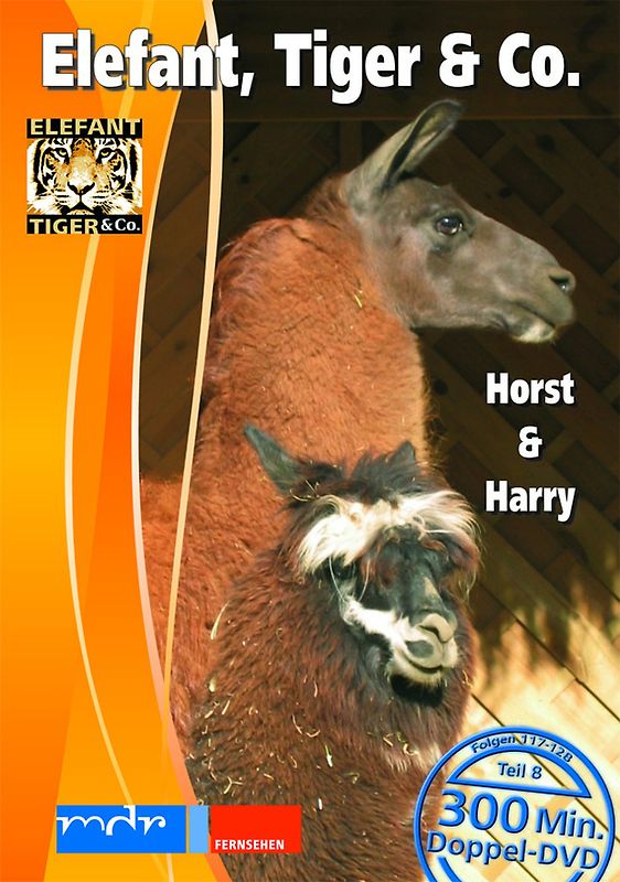 Elefant, Tiger & Co., Teil 08 - Horst & Harry (2 DVDs) DVD