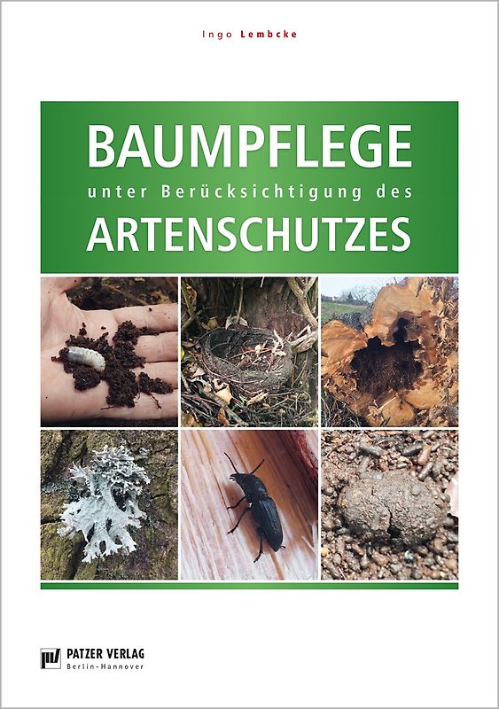 Baumpflege unter Berücksichtigung des artenschutzes