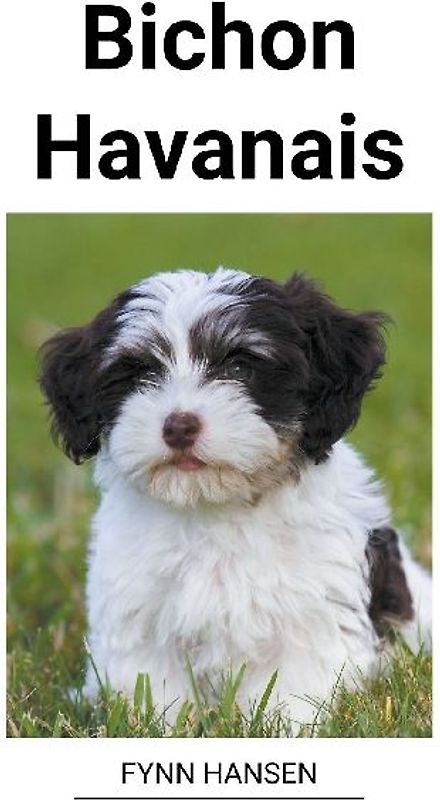 Bichon Havanais
