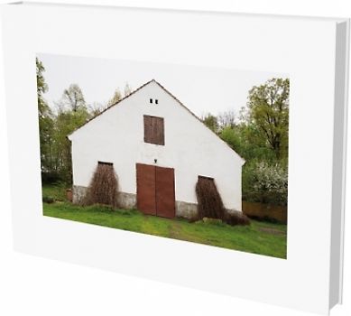 Pia Pollmanns: Die Wege der Elisa Kosch