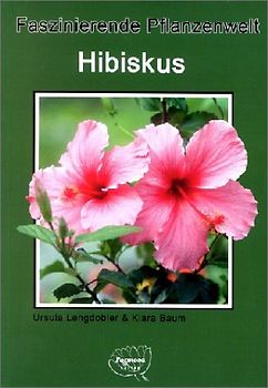 Hibiskus