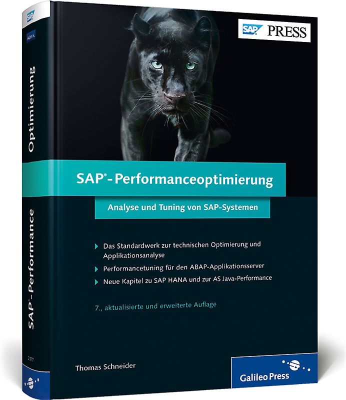SAP-Performanceoptimierung