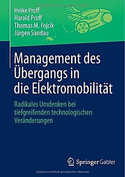Management des Übergangs in die Elektromobilität
